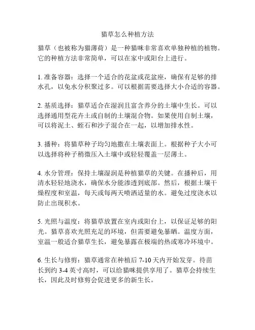 猫草怎么种植方法