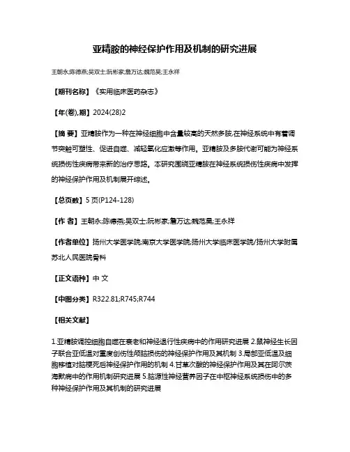 亚精胺的神经保护作用及机制的研究进展