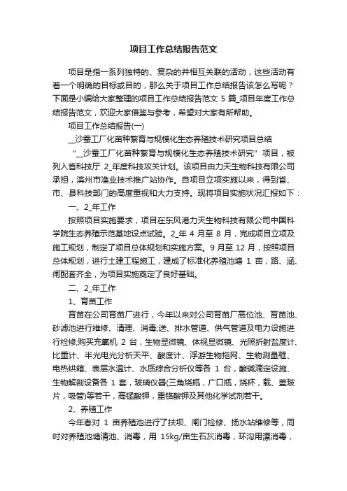 项目工作总结报告范文