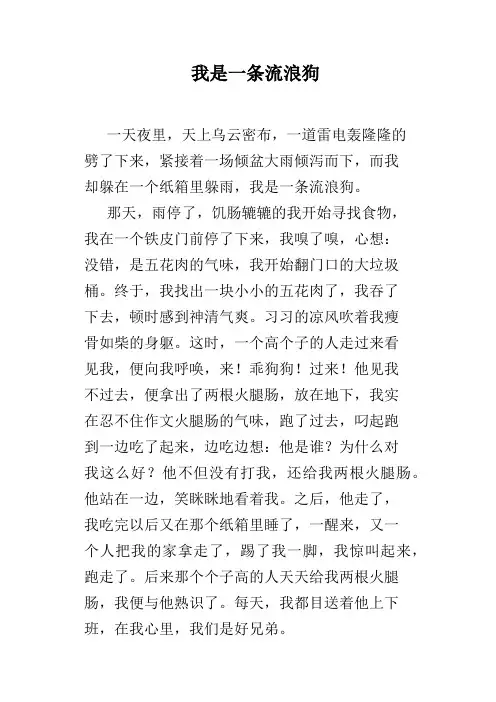 我是一条流浪狗
