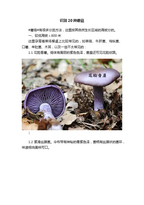 识别20种蘑菇