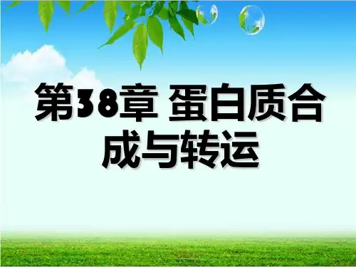 王镜岩生物化学第38章蛋白质合成与转运PPT课件