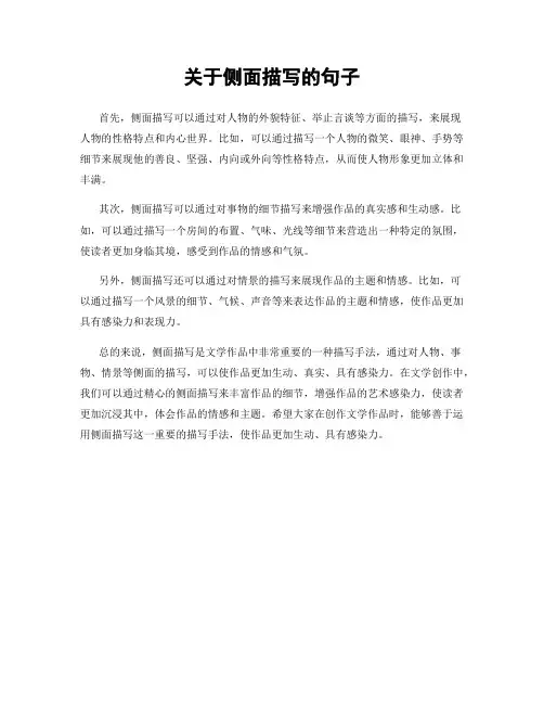 关于侧面描写的句子