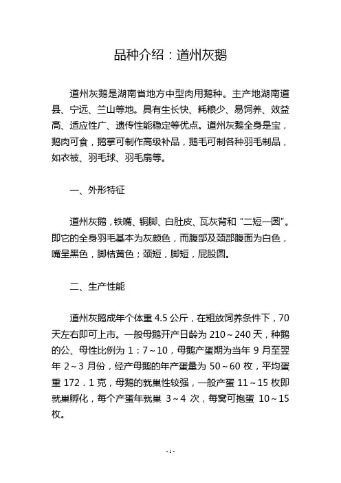 品种介绍：道州灰鹅