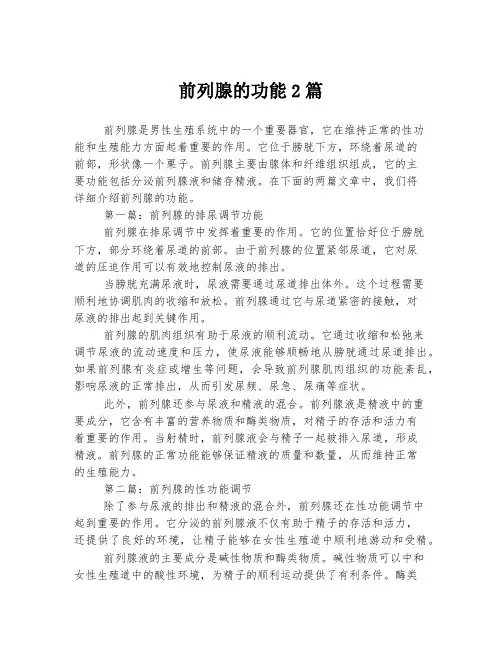 前列腺的功能2篇