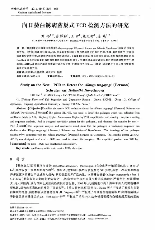 向日葵白锈病菌巢式PCR检测方法的研究