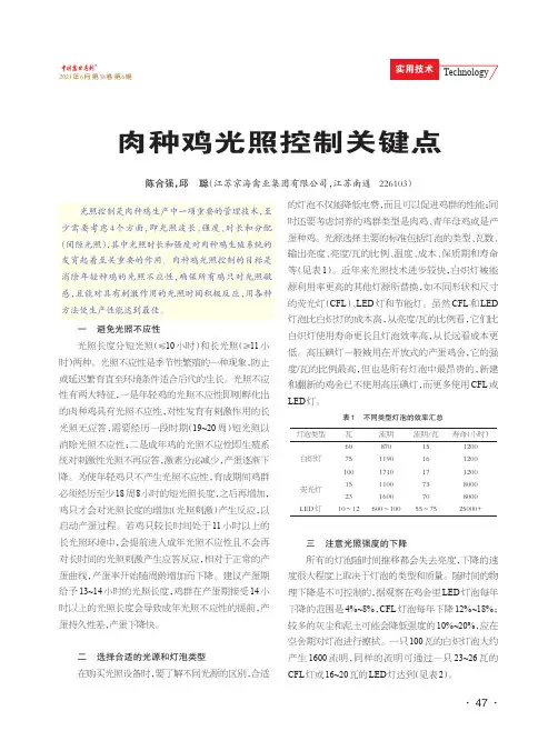 肉种鸡光照控制关键点