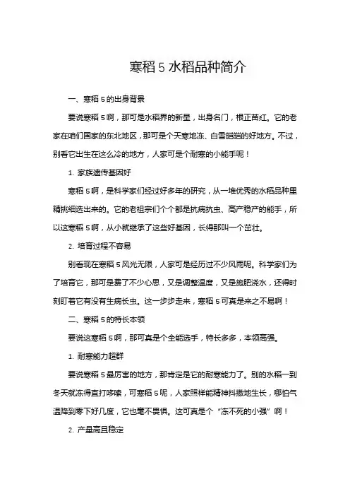 寒稻5水稻品种简介