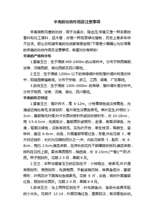 辛夷的功效作用及注意事项