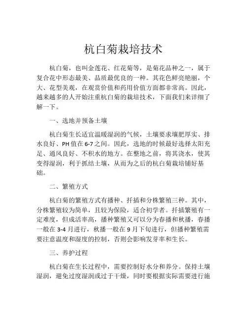 杭白菊栽培技术