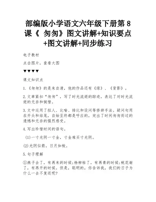 部编版小学语文六年级下册第8课《 匆匆》图文讲解+知识要点+图文讲解+同步练习 