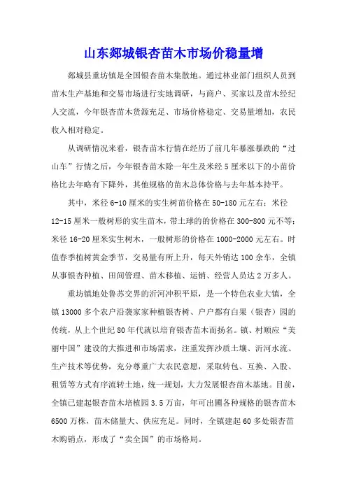 山东郯城银杏苗木市场价稳量增