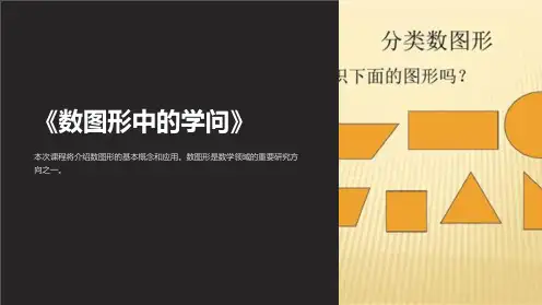 《数图形中的学问》课件