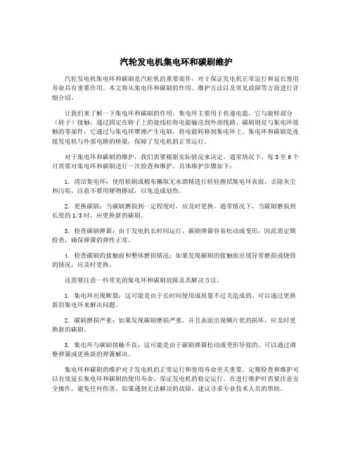 汽轮发电机集电环和碳刷维护