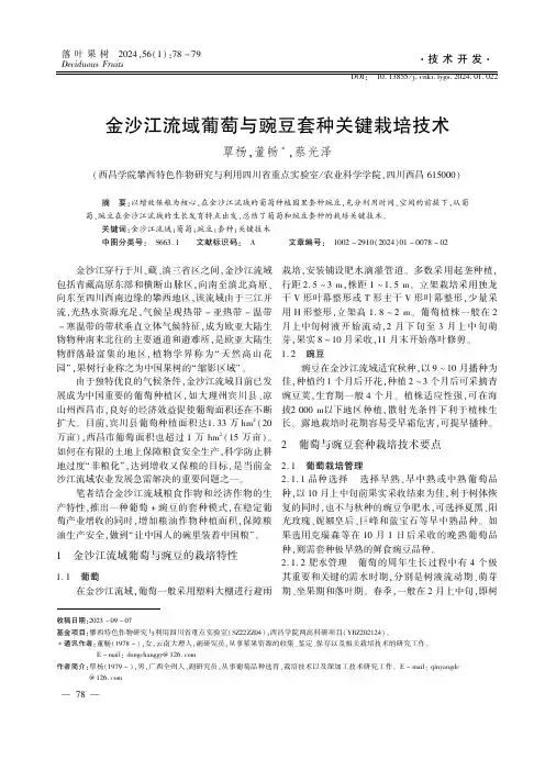 金沙江流域葡萄与豌豆套种关键栽培技术