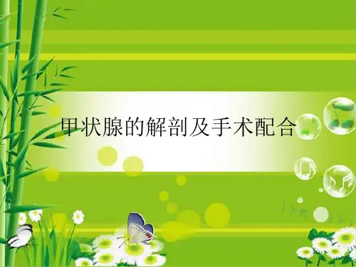 甲状腺解剖及手术配合PPT课件