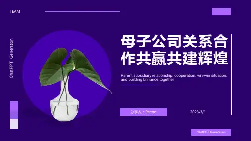 2023年母子公司关系与关联交易
