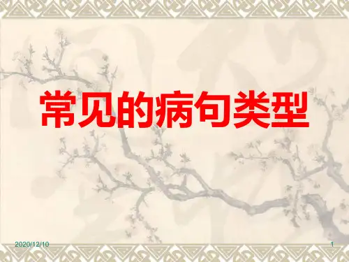 常见的病句类型PPT教学课件