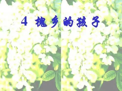 4.《槐乡的孩子》课件