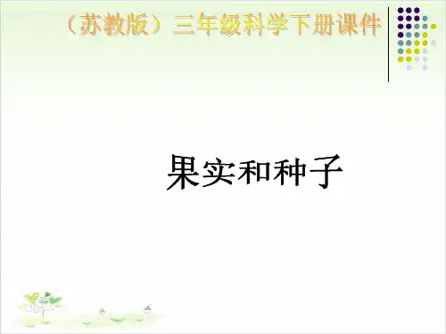 三年级下册科学-果实和种子-苏教版-PPT课堂课件