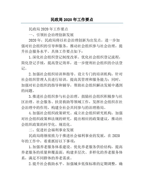民政局2020年工作要点