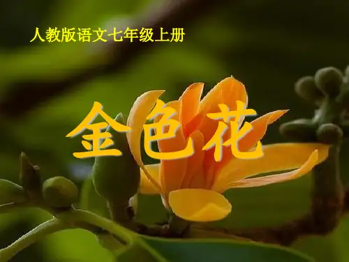 新人教版七年级语文上册第7课《金色花》课件