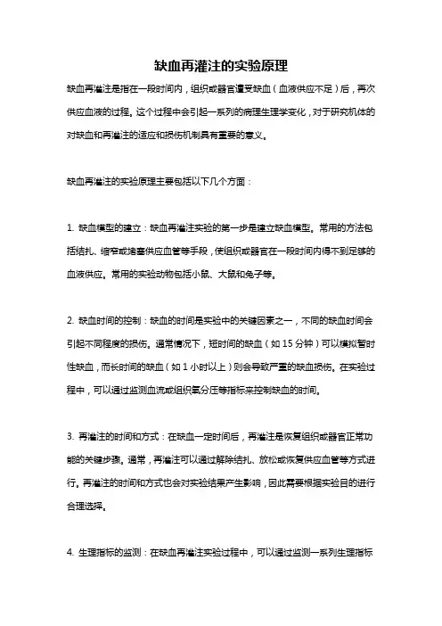 缺血再灌注的实验原理