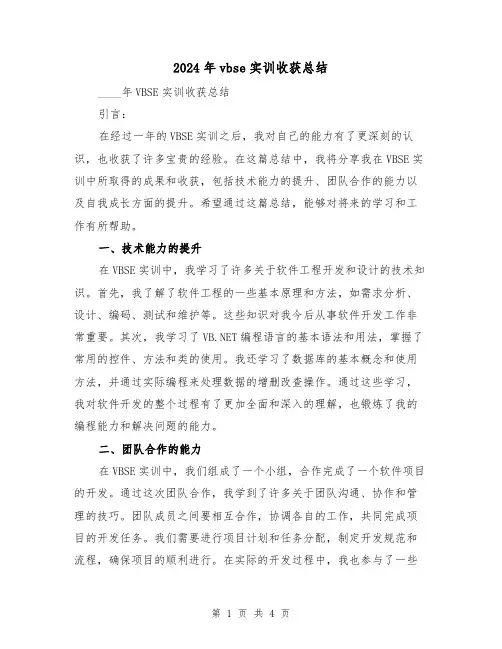 2024年vbse实训收获总结（2篇）