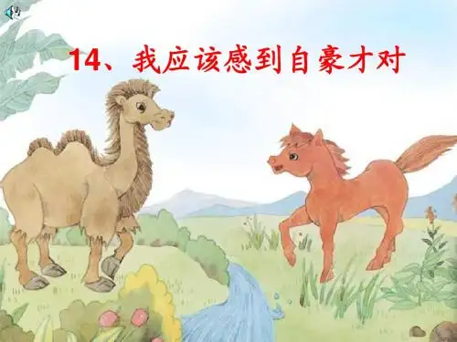 我应该感到自豪才对PPT