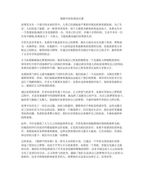 狼群中的朱莉读后感
