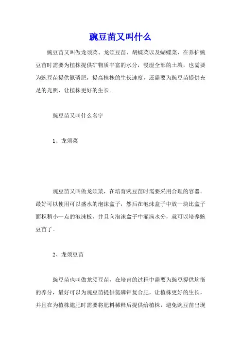 豌豆苗又叫什么