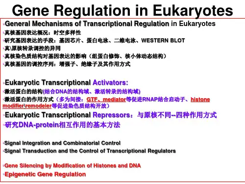现代分子生物学之真核细胞转录调控三精品PPT课件