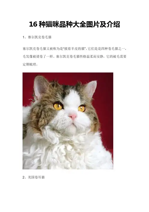 猫咪品种大全及图片和名字