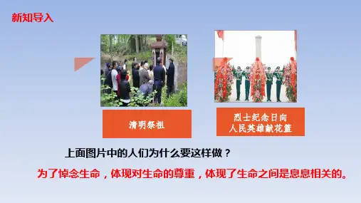 人教版《道德与法治》七年级上册敬畏生命课件