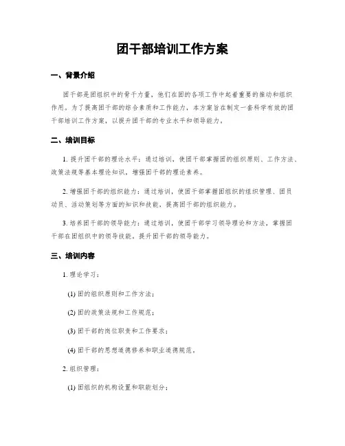 团干部培训工作方案