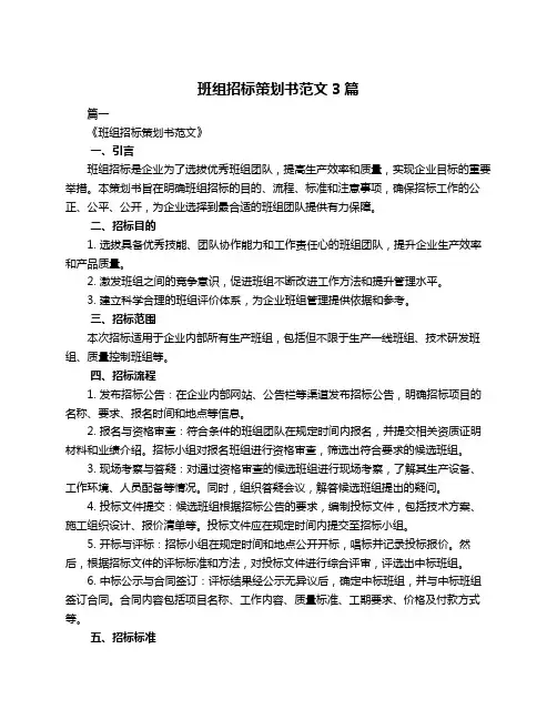 班组招标策划书范文3篇
