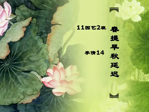 大棚蔬菜春提早秋延后