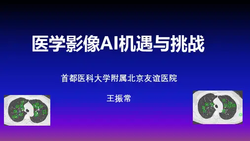 王振常-医学影像AI机遇与挑战