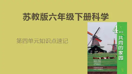 苏教版六年级下册科学(第四单元)