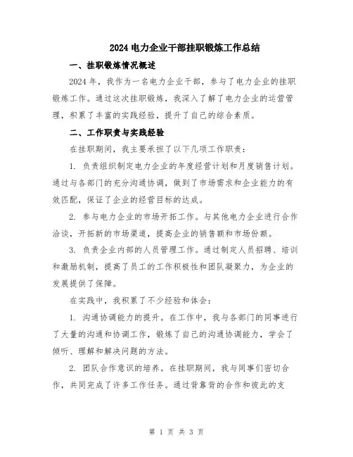 2024电力企业干部挂职锻炼工作总结