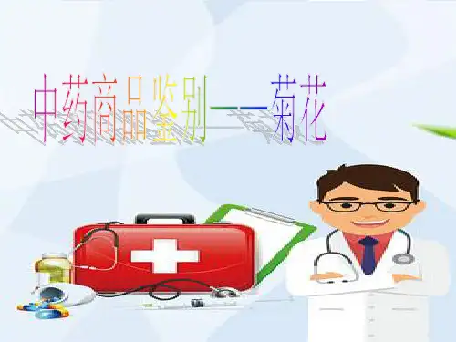 《中药商品鉴别菊花》PPT课件