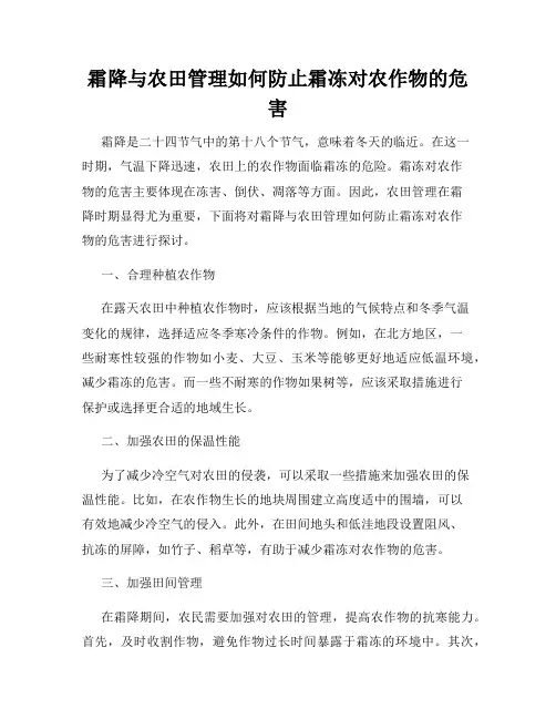 霜降与农田管理如何防止霜冻对农作物的危害