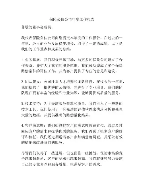 保险公估公司年度工作报告