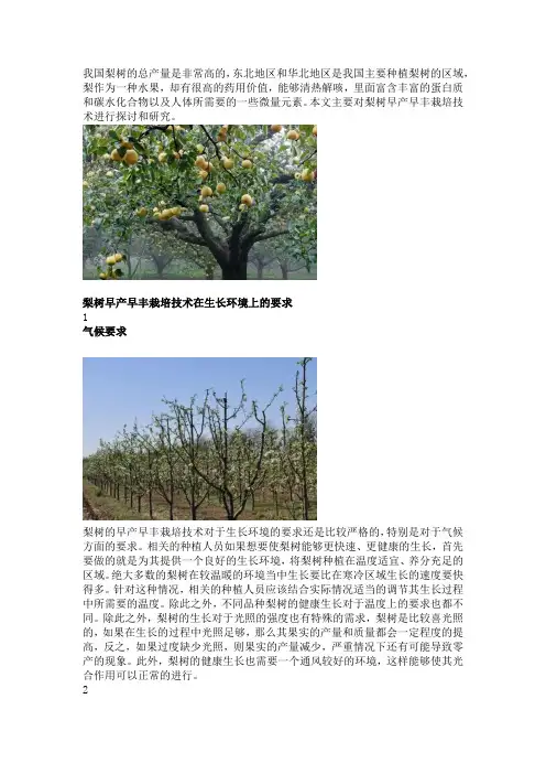 梨树早产早丰栽培技术及应用推广