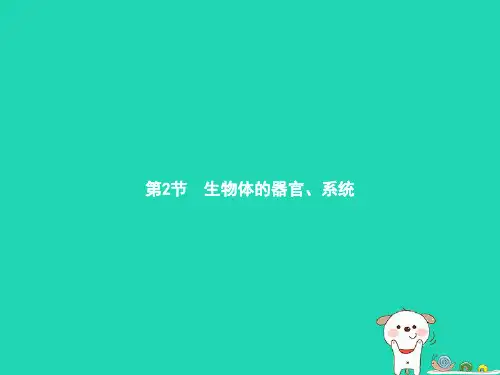 生物课件生物体的器官、系统课件(北师大版)