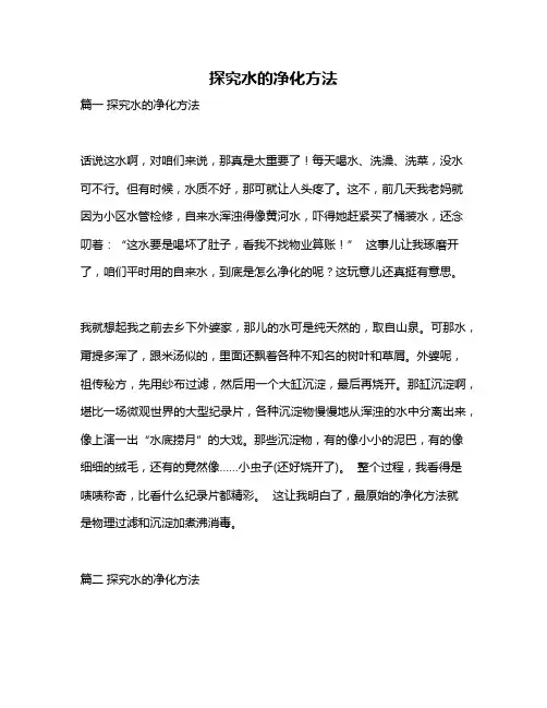 作文《探究水的净化方法》