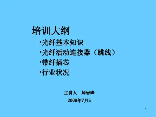 光纤和光纤研磨-师岩峰