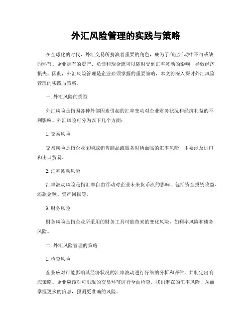 外汇风险管理的实践与策略