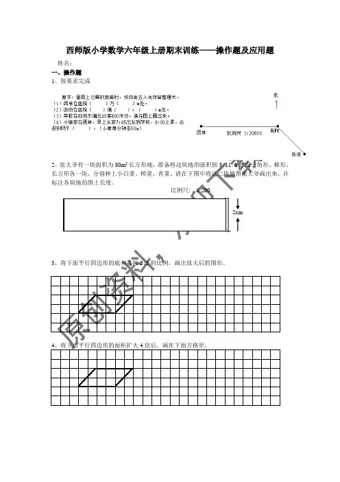 西师版六年级上册数学操作题及应用题