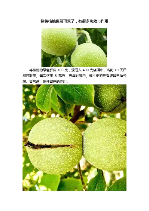 绿色核桃皮别再丢了，有很多功效与作用